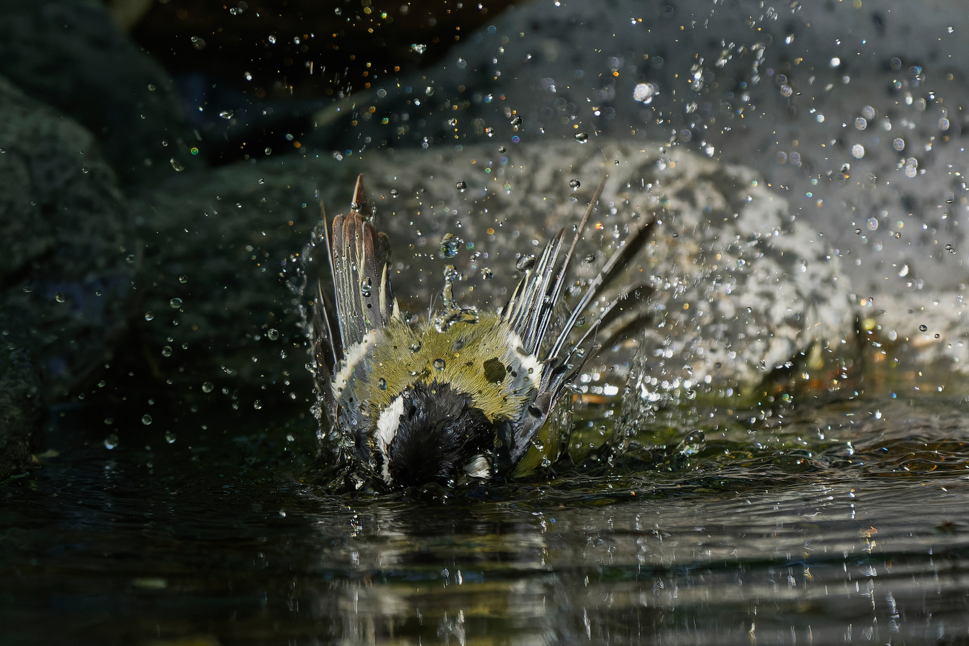 Au bain